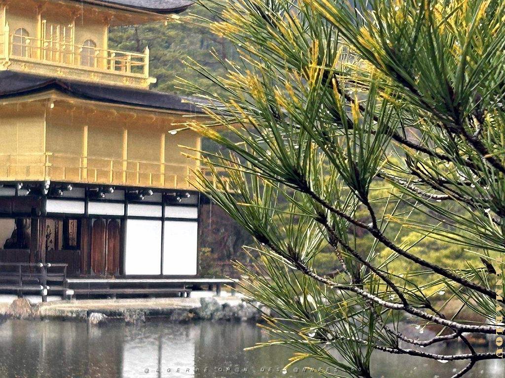 KYOTO - Temple Kinkaku-Ji et Jardins - 18.01.2024 - 11.jpg